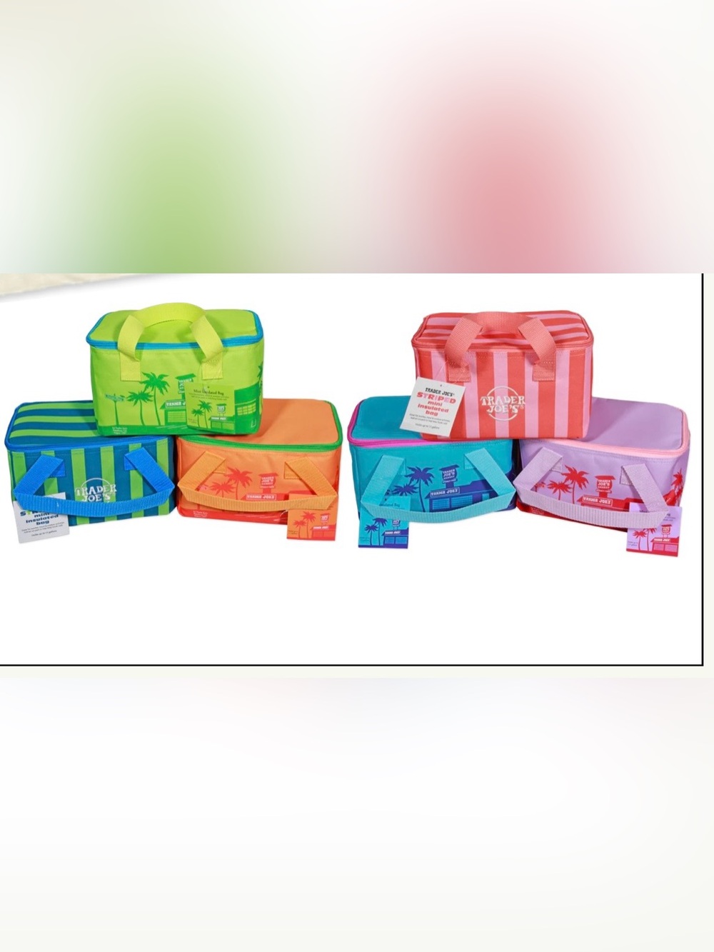 NWT Collection Sets of 6 Trader Joe's Striped Insulated Lunch Bags